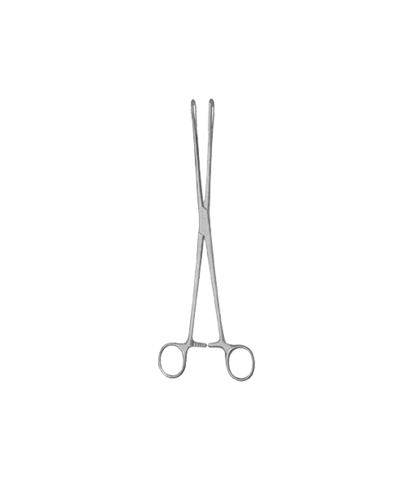 Rampley Sponge Holding Forceps 25cm