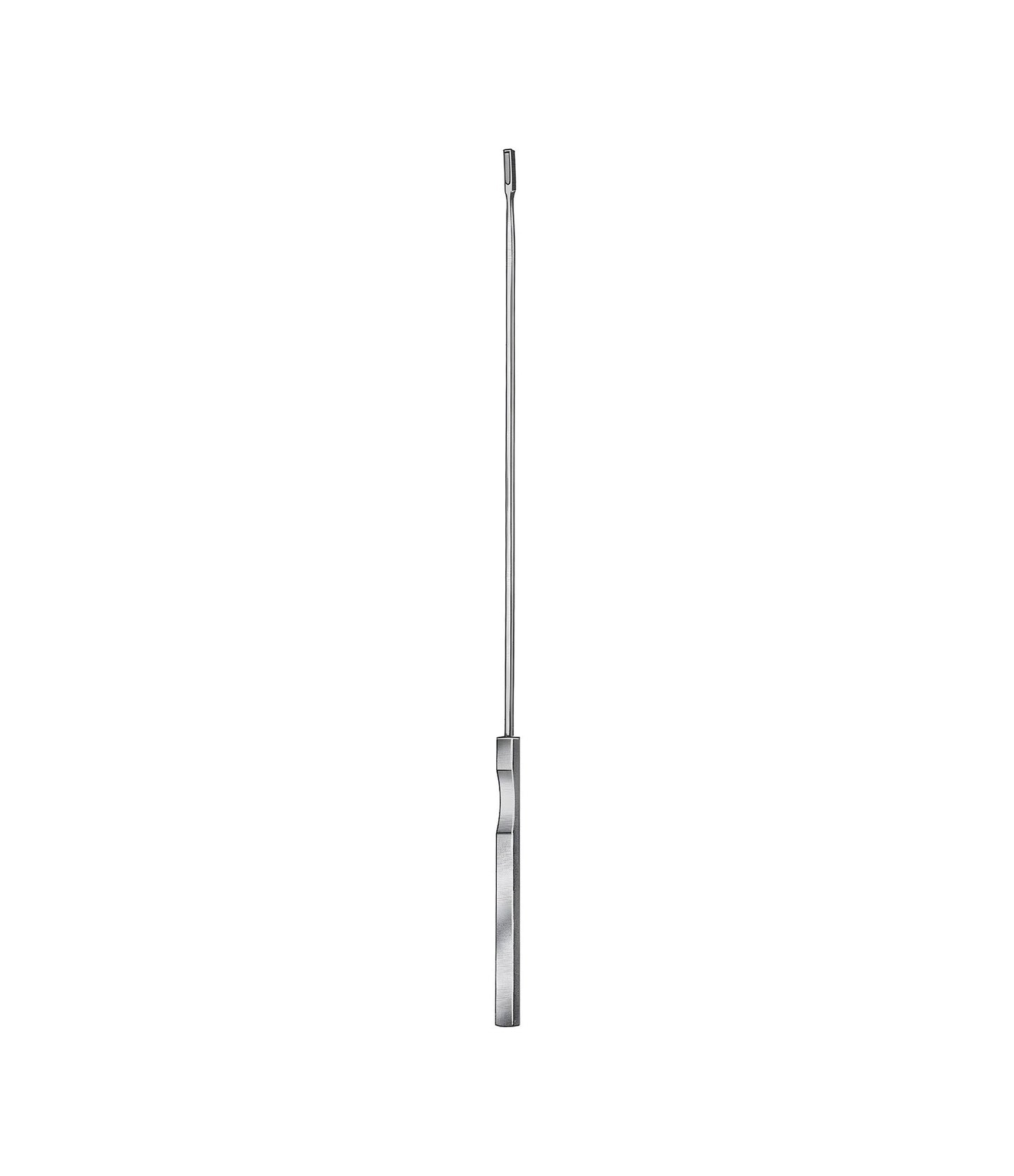 Kevorkian Curette 30.0cm (No Basket)