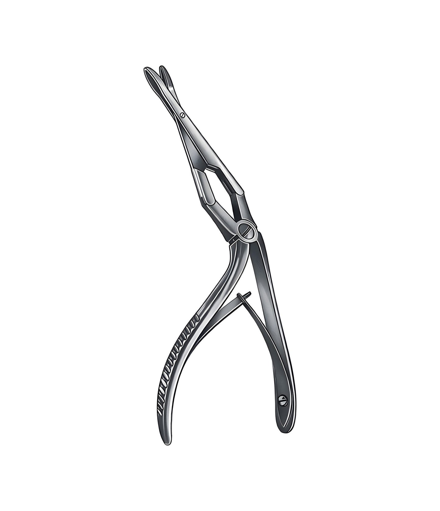 Middleton-Jansen Nasal Punch 19.0 cm