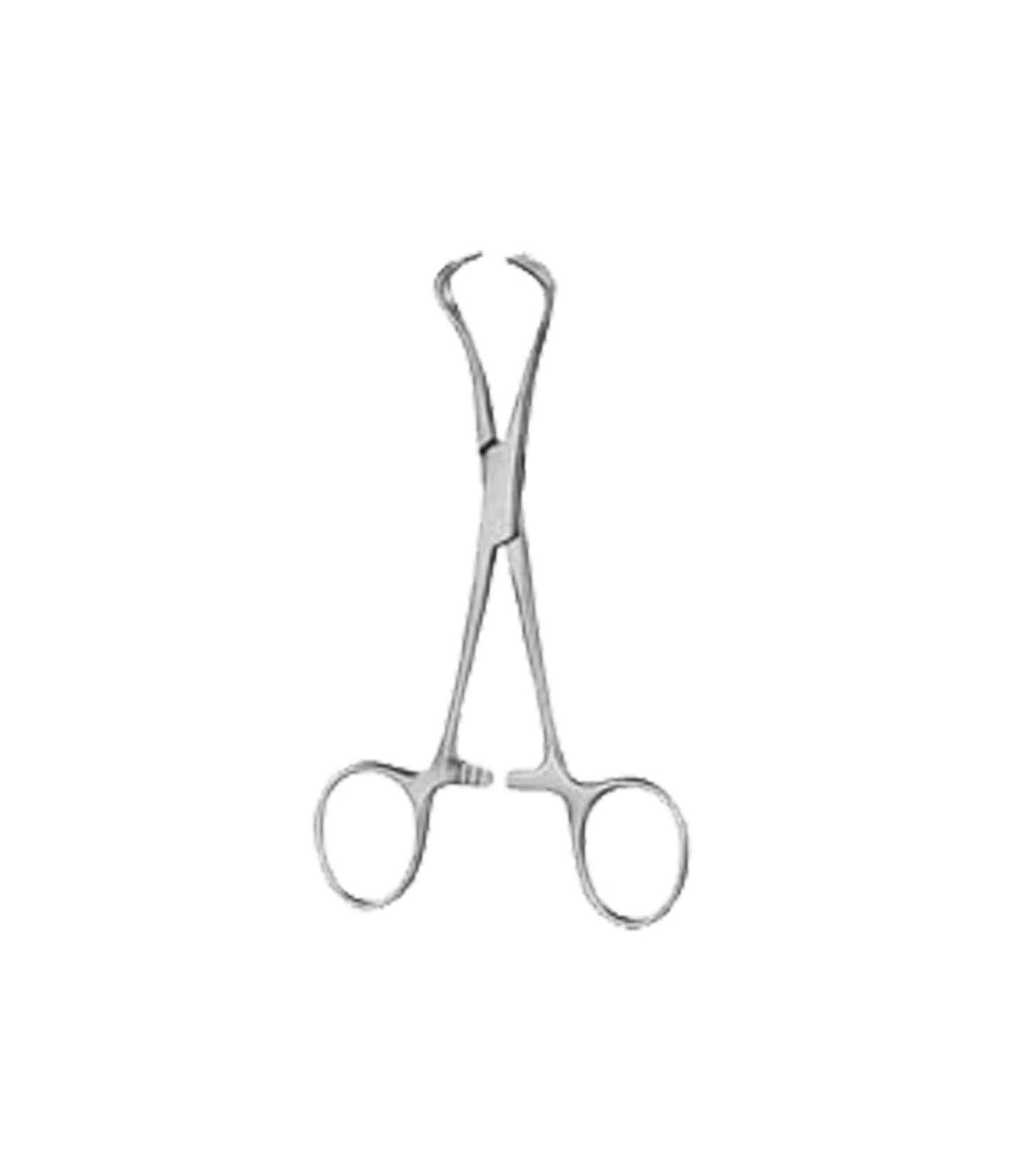 Lorna Towel Forceps 13.0Cm