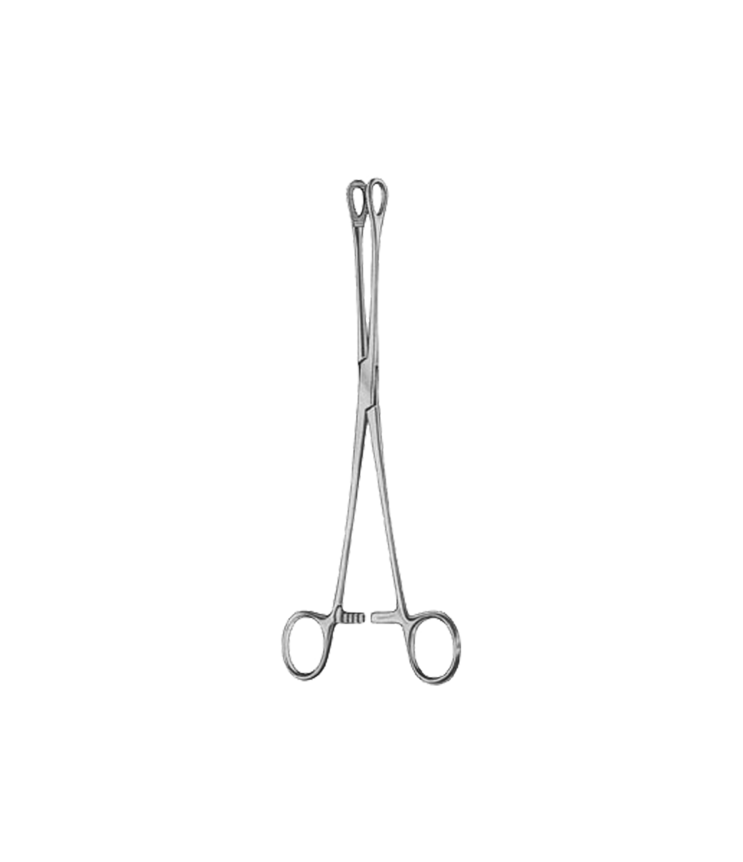 Foerster-Ballenger Straight Serrated 25cm