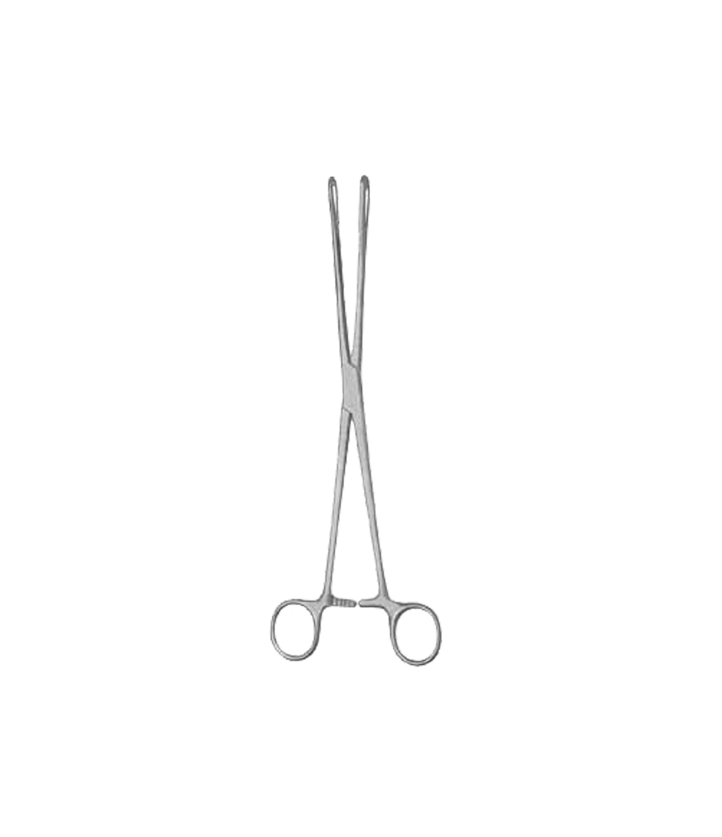 Rampley Sponge Holding Forceps 18cm