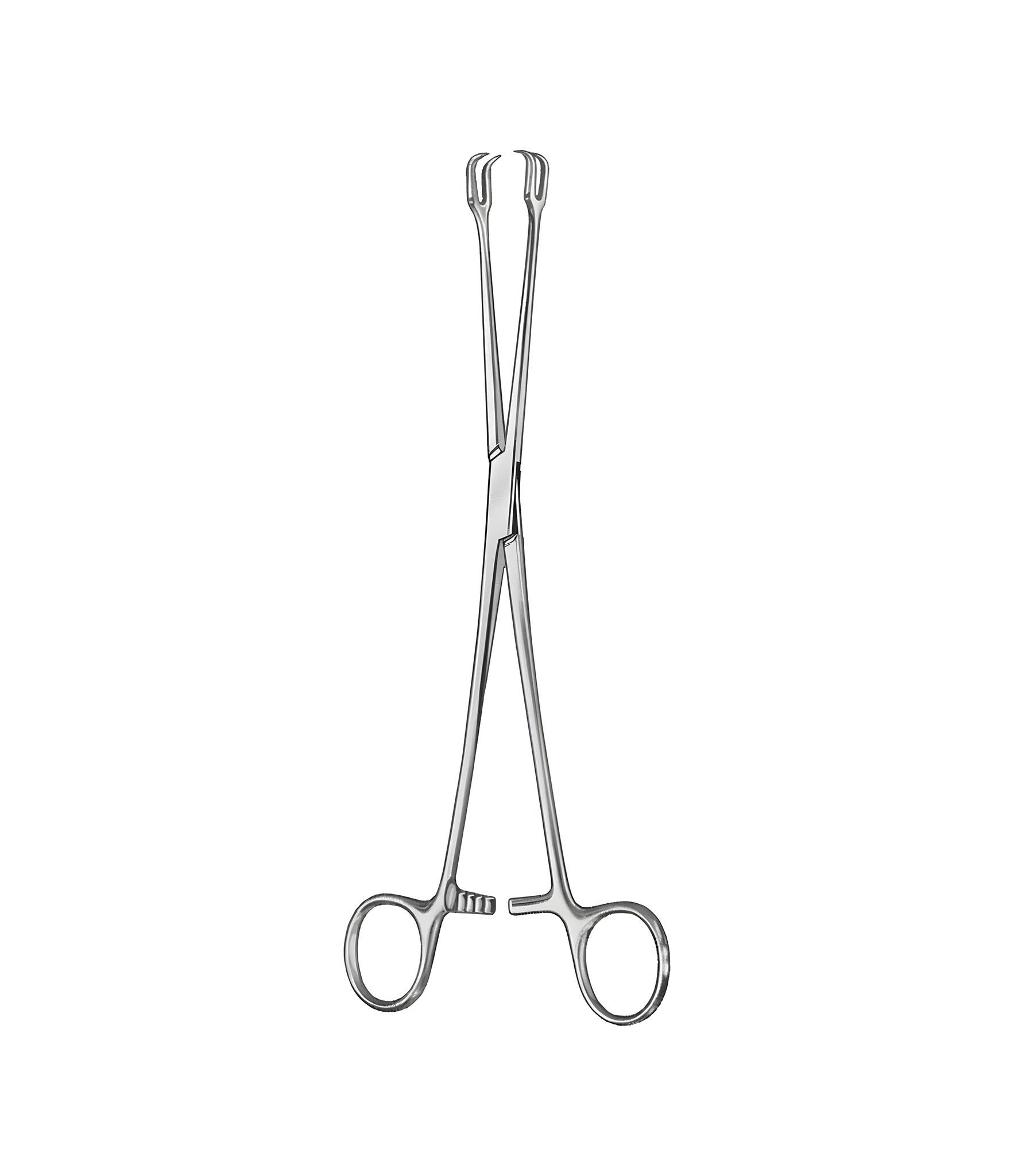 Schroeder Vulsellum Forceps Strong 2x2 Tooth 24.0cm