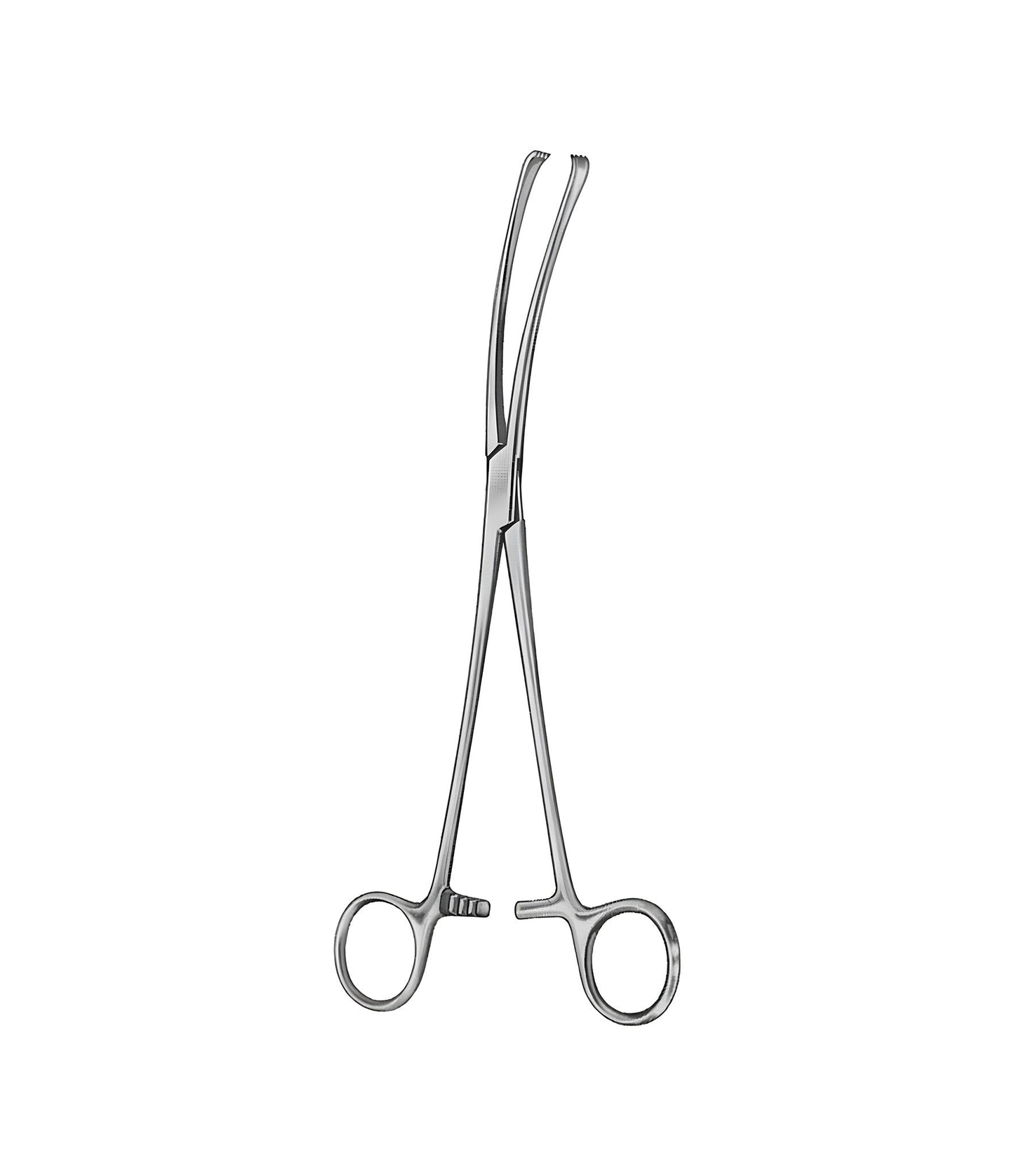 Teale Forceps Curved 3x4 Tooth 23cm