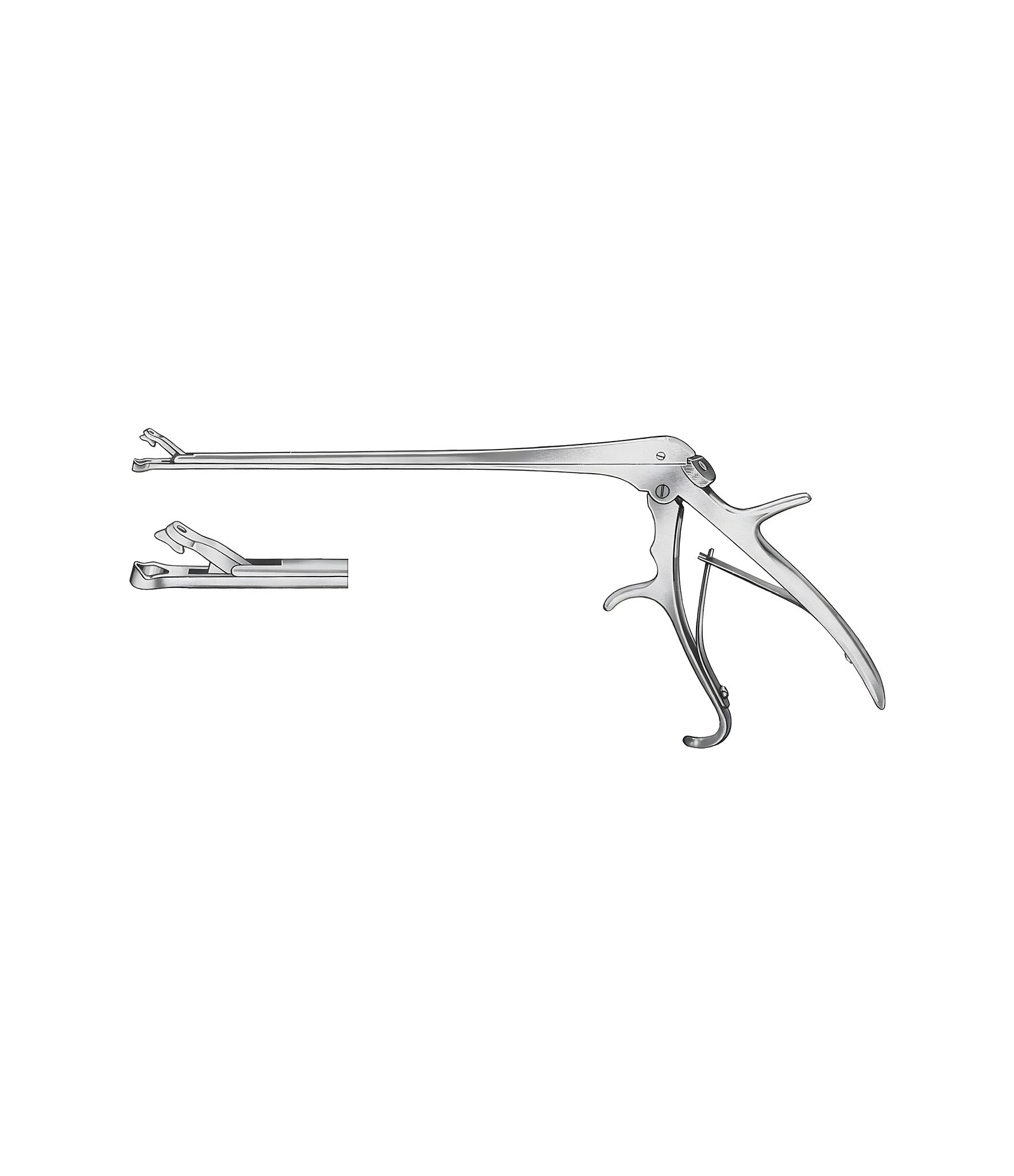 Burke Forceps 22.0cm
