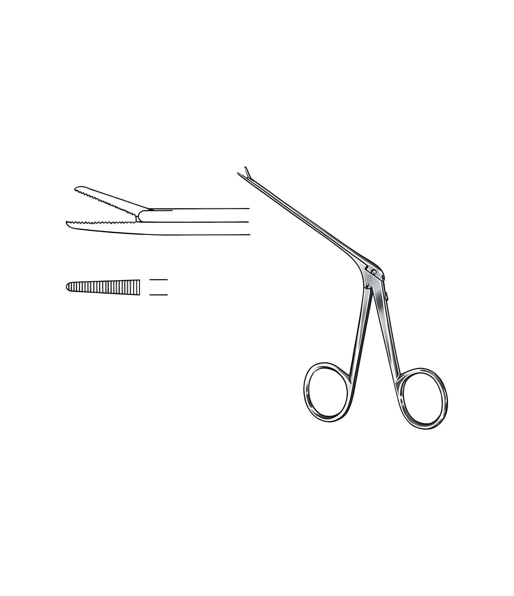 Alligator Jaw 8.5x1.8mm Satin