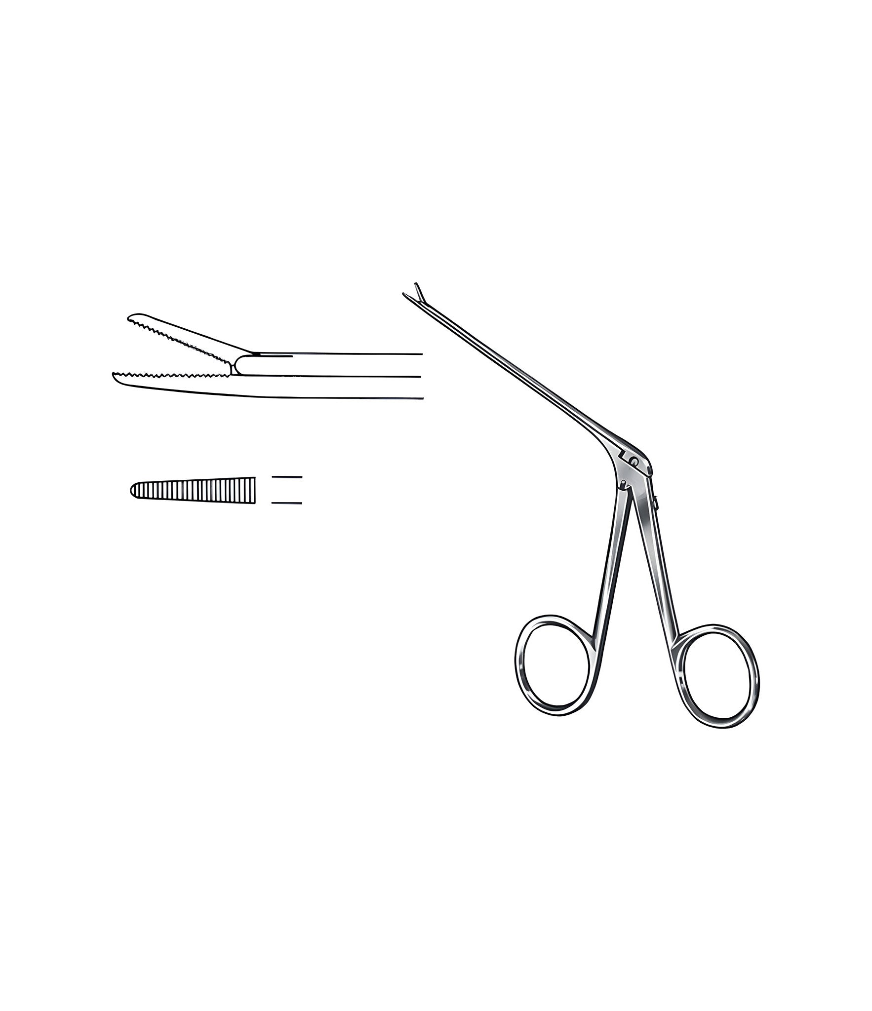 Micro Alligator Jaw 4.0x0.6mm Satin