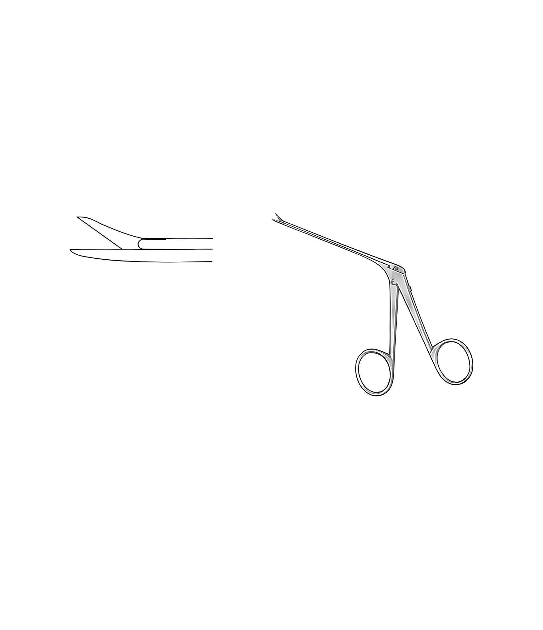 Bellucci Scissors Straight 4.0mm Satin