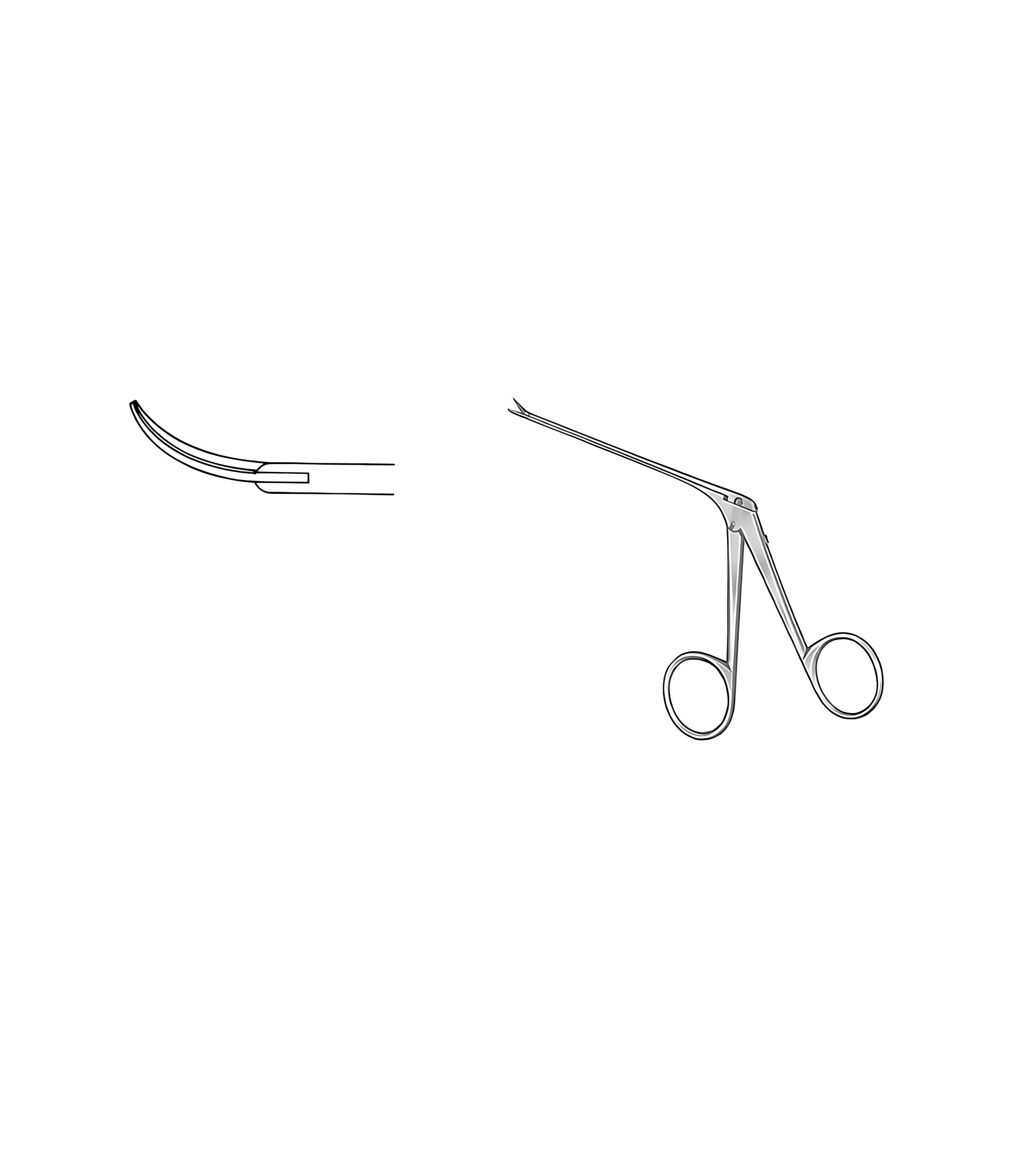 Bellucci Scissors Curved Right 4.0mm Satin