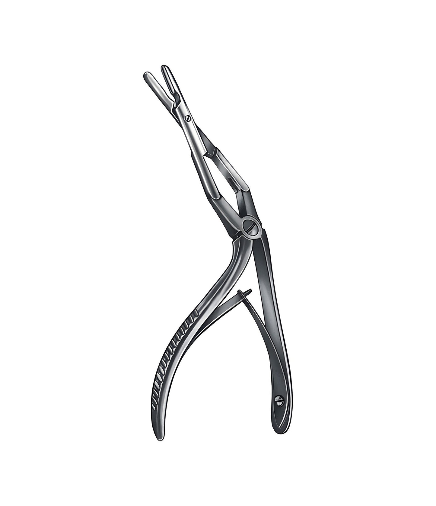 Middleton-Jansen Forceps, Cup, Sharp, 19 cm
