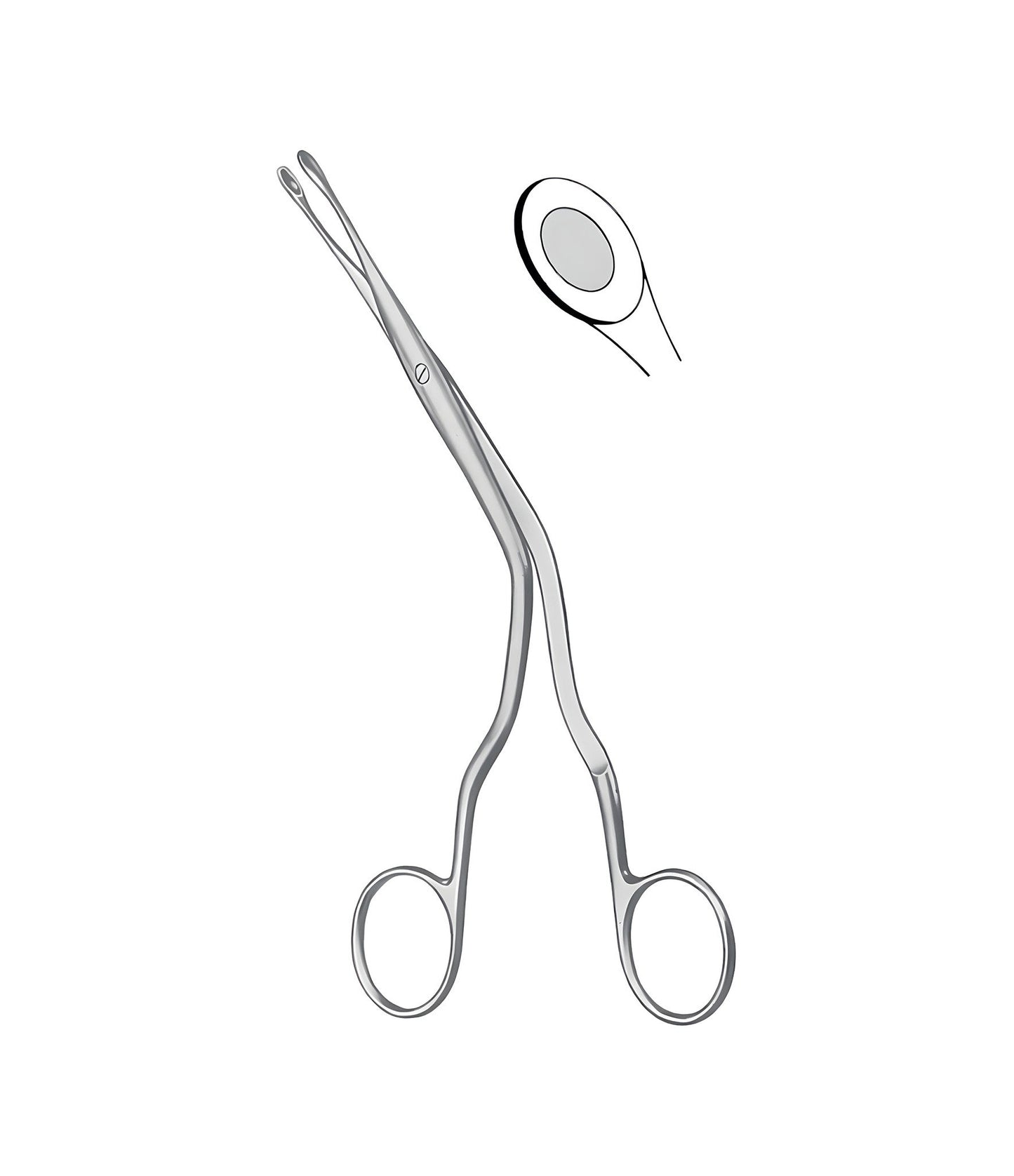 Luc Septum Forceps,√äFenestrated