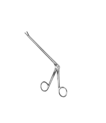 Schlesinger Rongeur 2x10mm