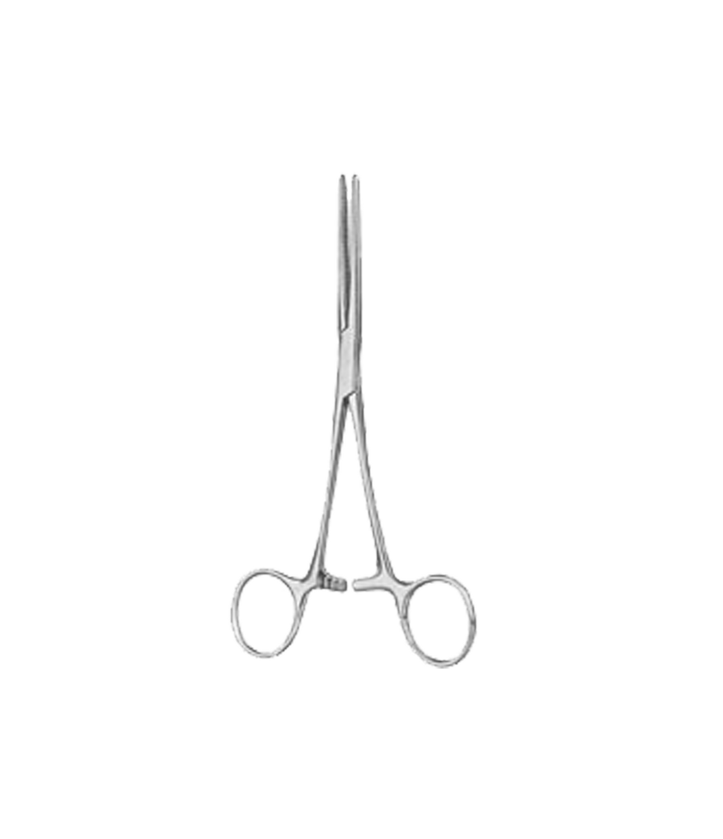 Rochester-Carmalt Forceps Straight 16cm